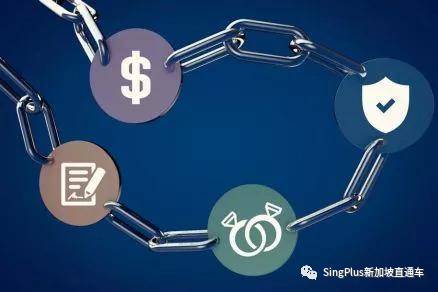 中国学生拿假文凭骗父母拿高薪?且看新加坡和中国如何打假