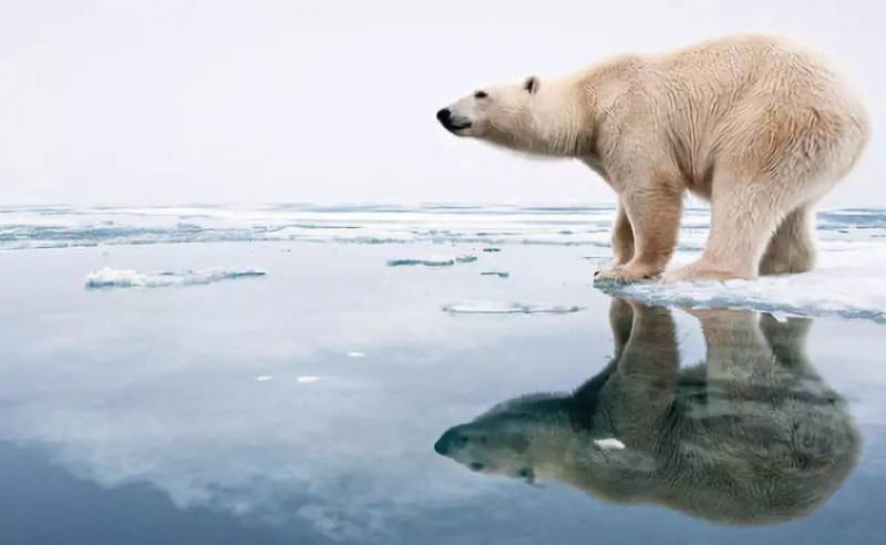 如果新加坡发生洪水，这几个区先遭殃