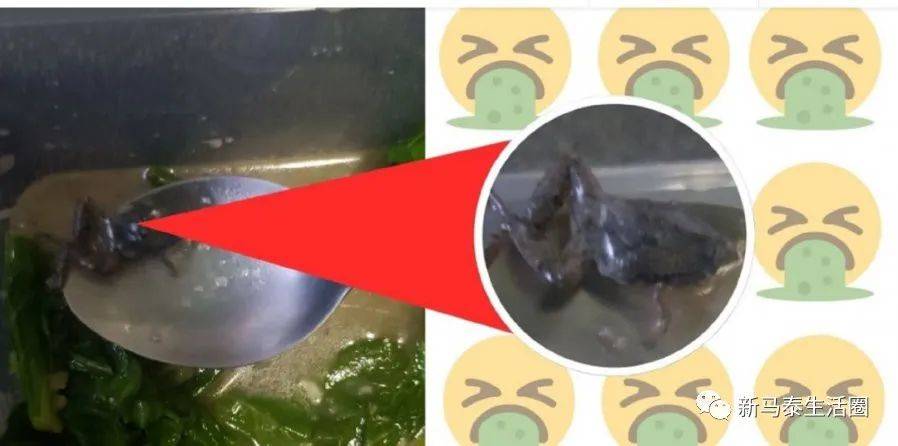 新加坡夫妻海鲜餐馆外卖惊见菜里藏小青蛙