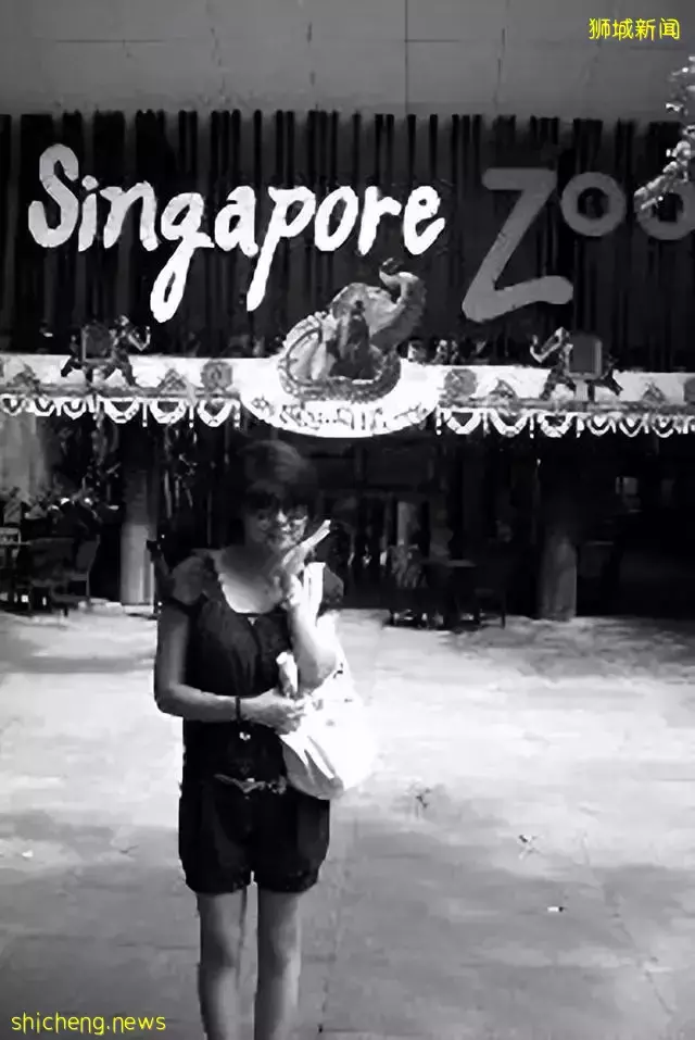 80后华人去了新加坡就都成老板了?听他们自己怎么说,有没有启发