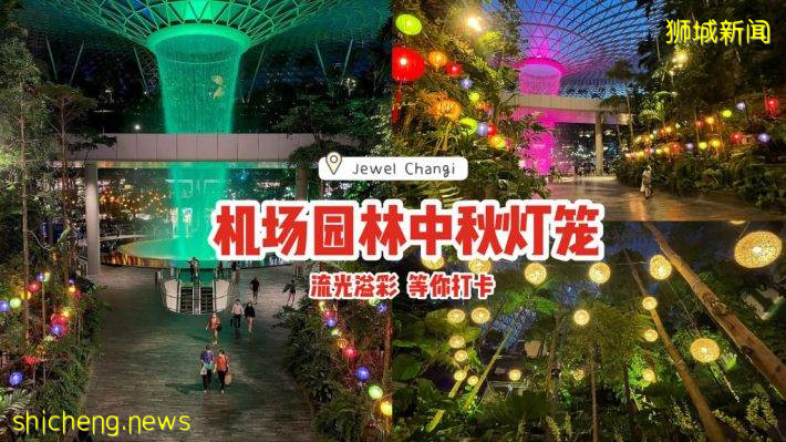 Jewel Changi機場園林挂上燈籠🏮一片流光溢彩、等你來打卡😍猜對燈籠數量可贏取禮券