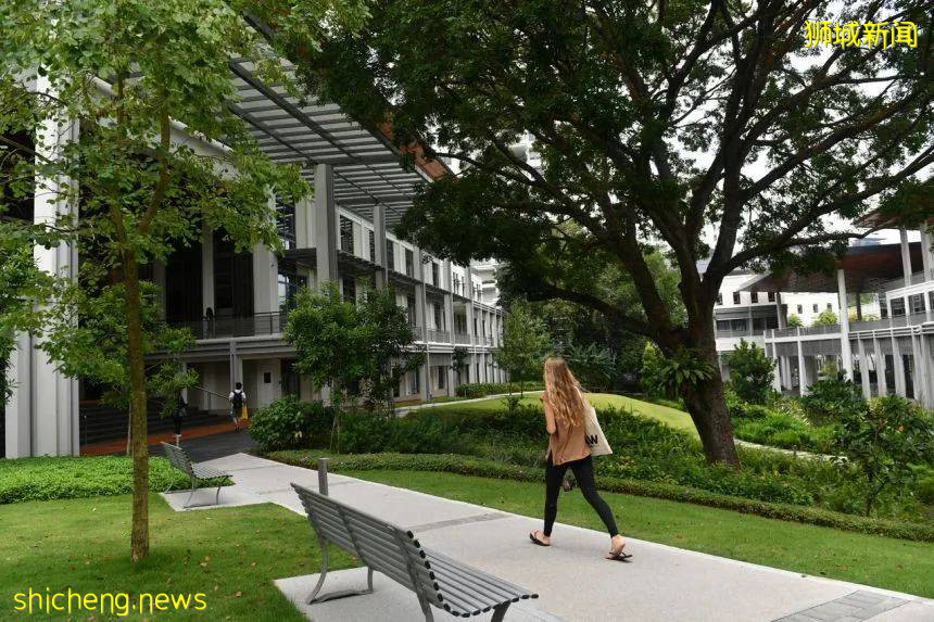 Yale NUS和USP合并?请告诉我这不是真的