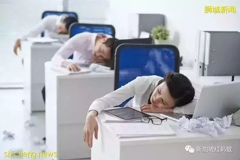 中國名企在獅城設立總部 新加坡籍員工原來經曆了這些文化差異