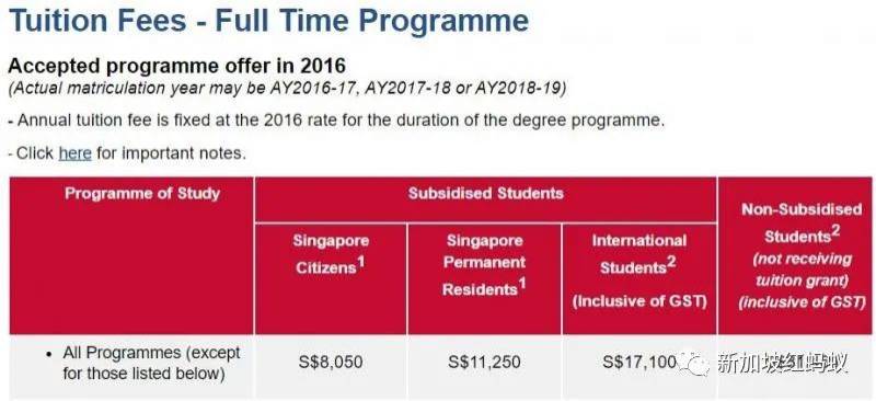 這群外籍學生在新加坡畢業後進退兩難：找不到工作也回不了國