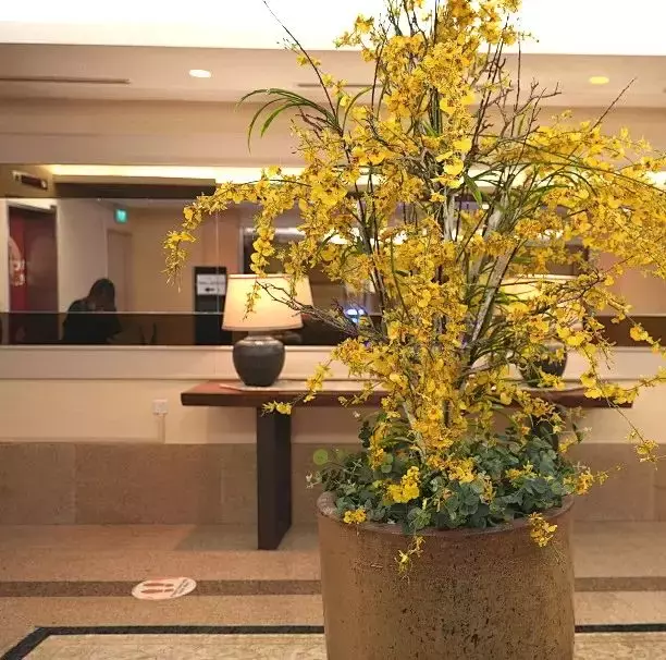 奢华住宿和美味精致的团圆饭，圣淘沙名胜世界等你来