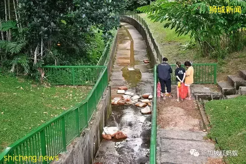 长期照顾特需孩子需极大勇气和耐心 对任何一个家庭都不容易