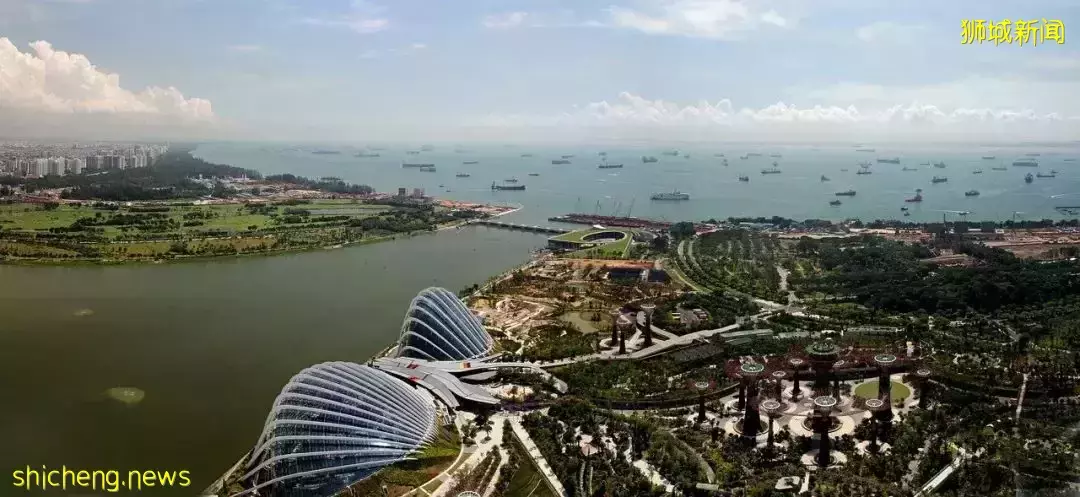 新加坡移民，精英瞬間成了“下等人”