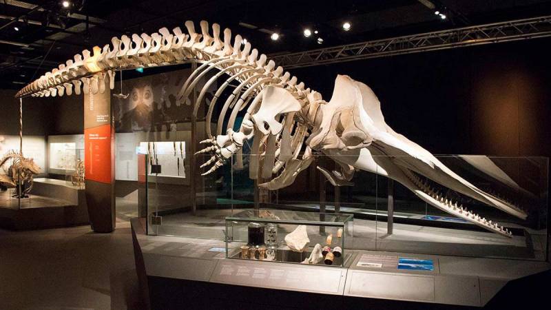 文藝青年的周末最佳打開方式，新加坡最美博物館大盤點！省錢、長知識，還可以拍超多美照