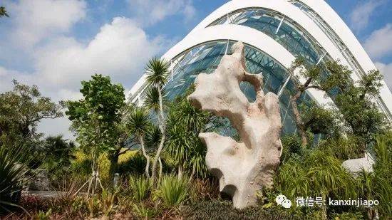 【下周活动】新加坡动物园门票75折+5新币餐券!A&F清仓半价