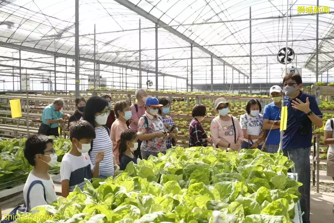 “新移民与新加坡社会”体验系列之“科技农业之旅”