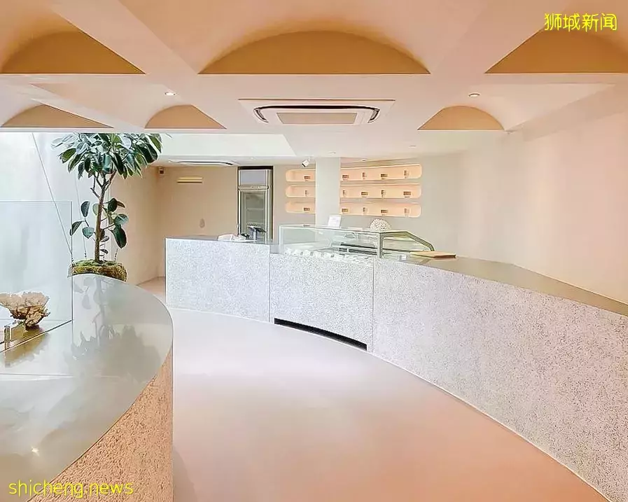 Birds of Paradise新店@Bugis，極簡風裝修、浮空樹，真的太有創意啦