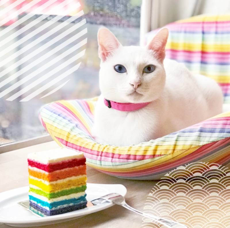 【每周折扣】第三阶段即将到来,超值优惠等你享用