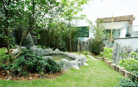 熊猫宝宝在新加坡诞下小宝贝!首只在新加坡出生的熊猫