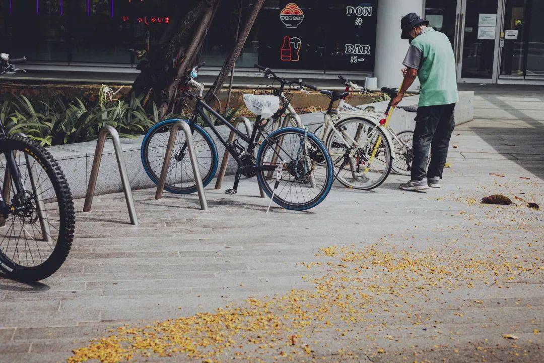 人間四月,來感受新加坡國立大學的春天