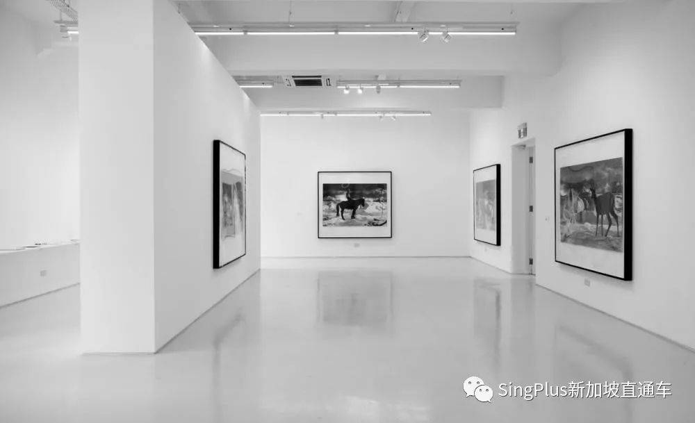 居然有人願意一天都泡在新加坡吉爾曼軍營?有點兒意思