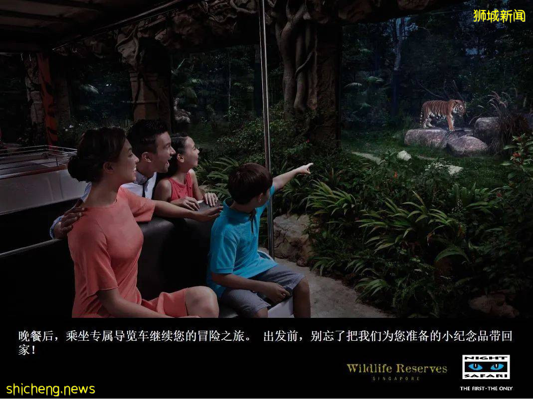 新加坡 中秋節野生動物之夜!酷炫探險~帳篷晚餐~賞月之旅