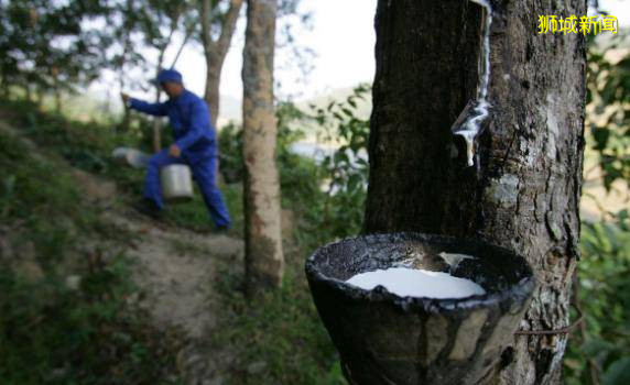 尴尬新加坡:割裂炎黃的流浪者,“美國炮灰”的反思與博弈