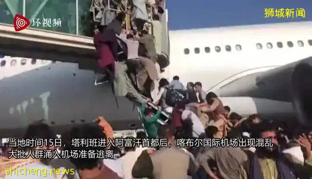 塔利班占领阿富汗,可能影响新加坡?!总理夫人转发军机内部照片