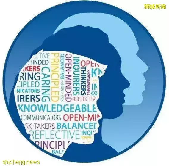 深入了解新加坡国际学校提供的课程选择