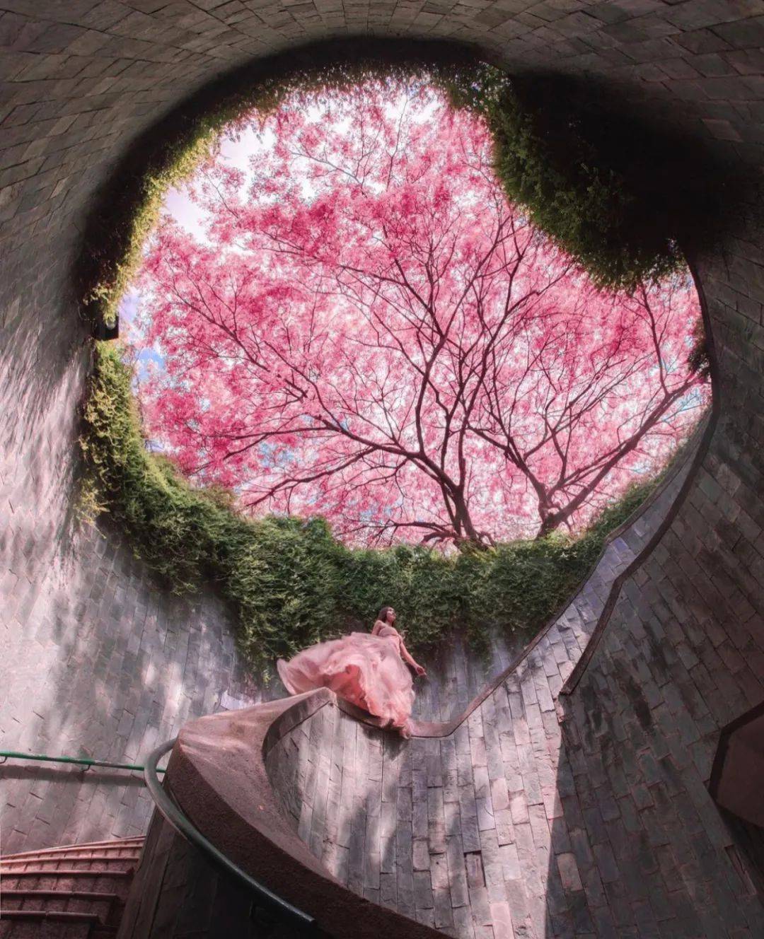 超夢幻!獅城婚紗照打卡地大盤點,好想在線征一個男友馬上結婚