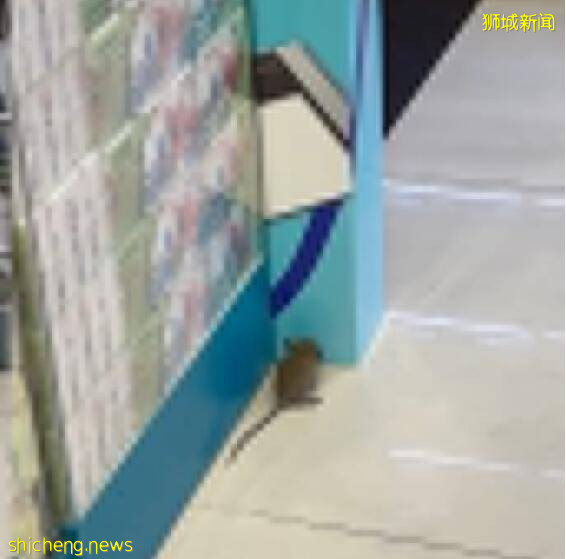 米奇“光顾”新加坡药店,网友调侃:在找自助检测仪吗