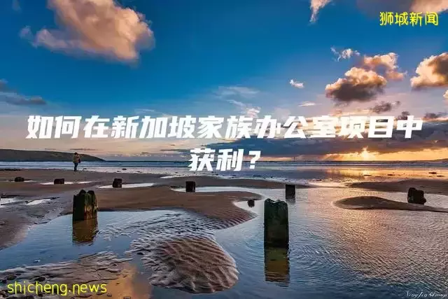 如何在新加坡家族办公室项目中获利