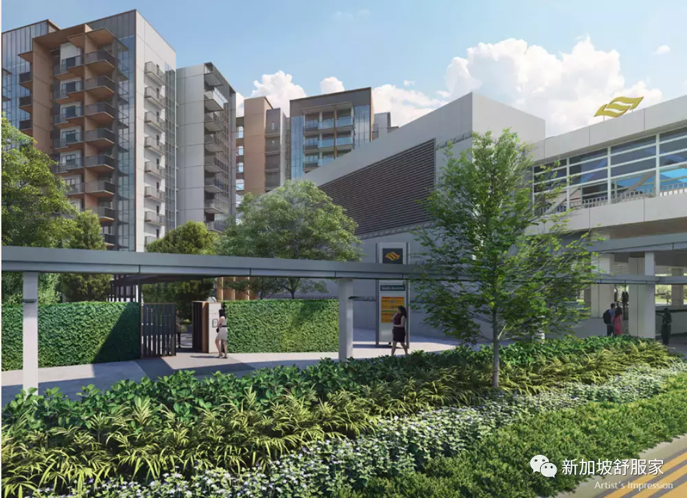 新加坡萊佛士女小“天才班”學區詳解