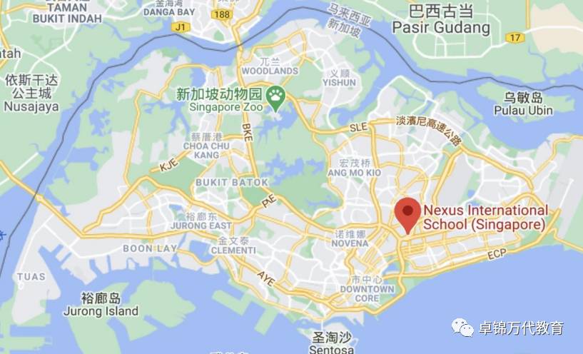 2021新加坡莱仕国际学校Nexus