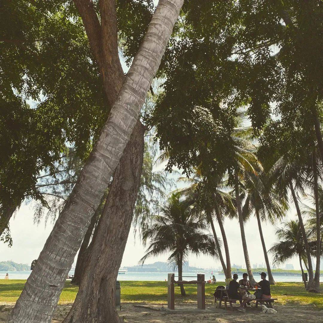 躺绿地、吃美食、看日落...新加坡最适合野餐的5大公园