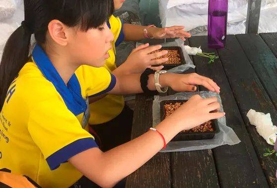 種水稻，摘蘑菇，新鮮蘆荟飲品！藏在新加坡的7大蔬菜農場我找到啦