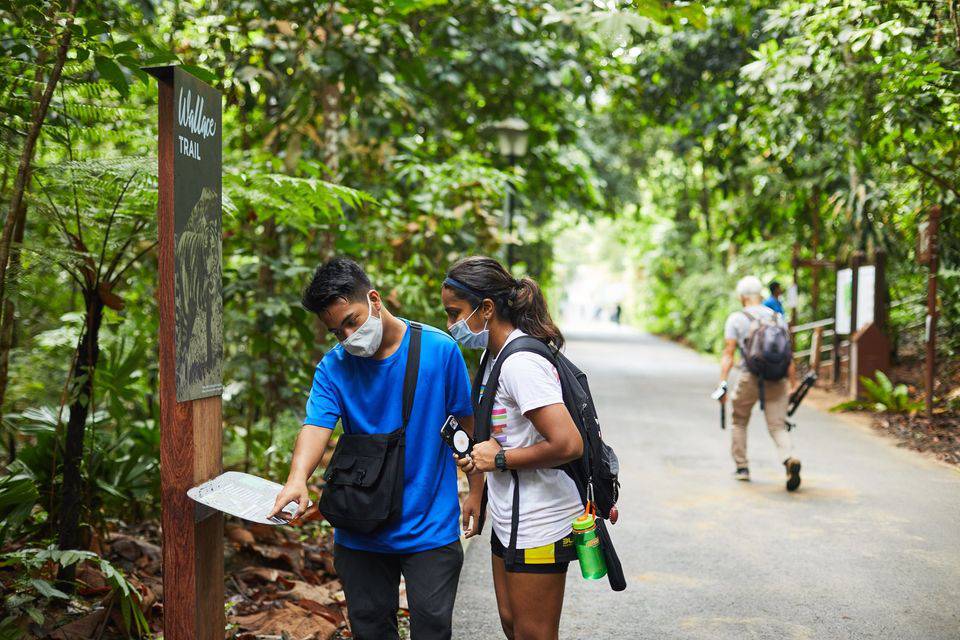 没有奶牛的奶牛公园,藏着100多年历史和700多种甲虫,新加坡宝藏公园推荐