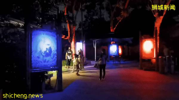 低至S$8！就3天！新加坡動物園“幻光雨林之夜”強勢回歸，亞洲第一夜遊體驗
