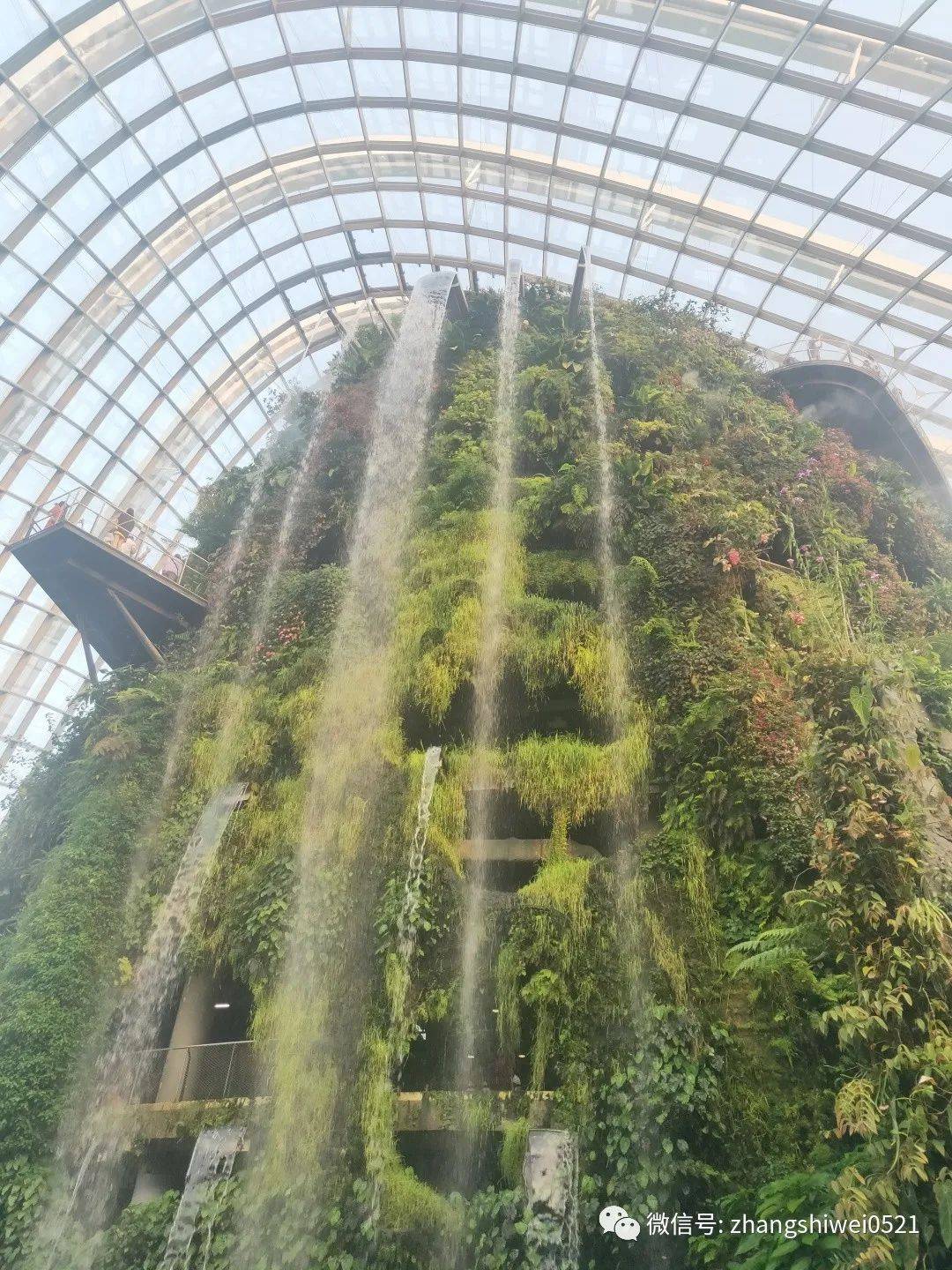 新加坡遊記系列 常規又不常規的獅城遊覽