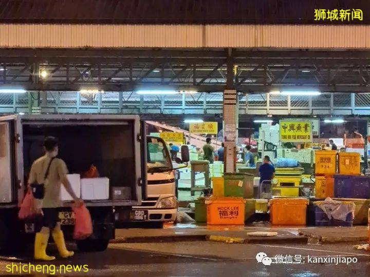 骨痛热症再度爆发,新加坡最大的鱼市场集体感染