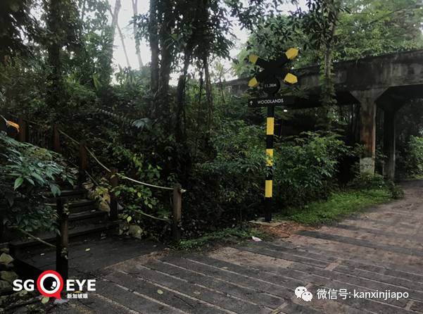 昨天小長假人山人海，武吉知馬老鐵路成新景點！前生今世大揭秘