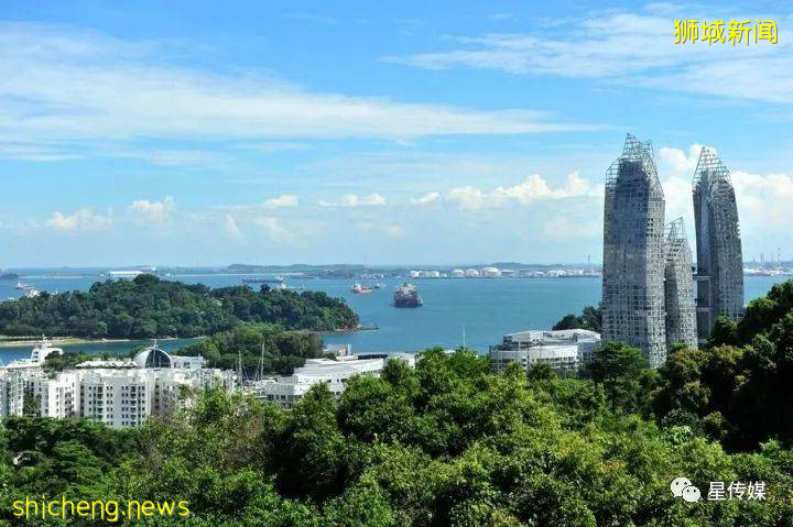 新加坡注册基金管理公司（RFMC）