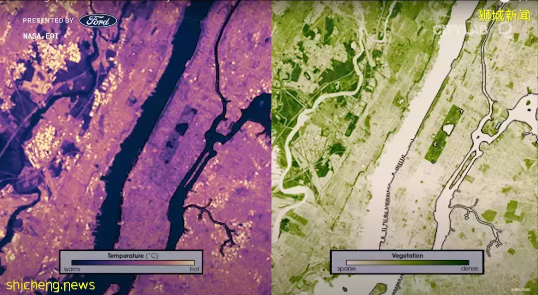 什麽是“冷卻新加坡計劃”