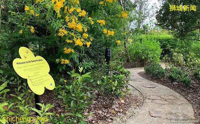 新加坡新開了一個“ 讓心情好起來的神奇兒童公園”，去試試