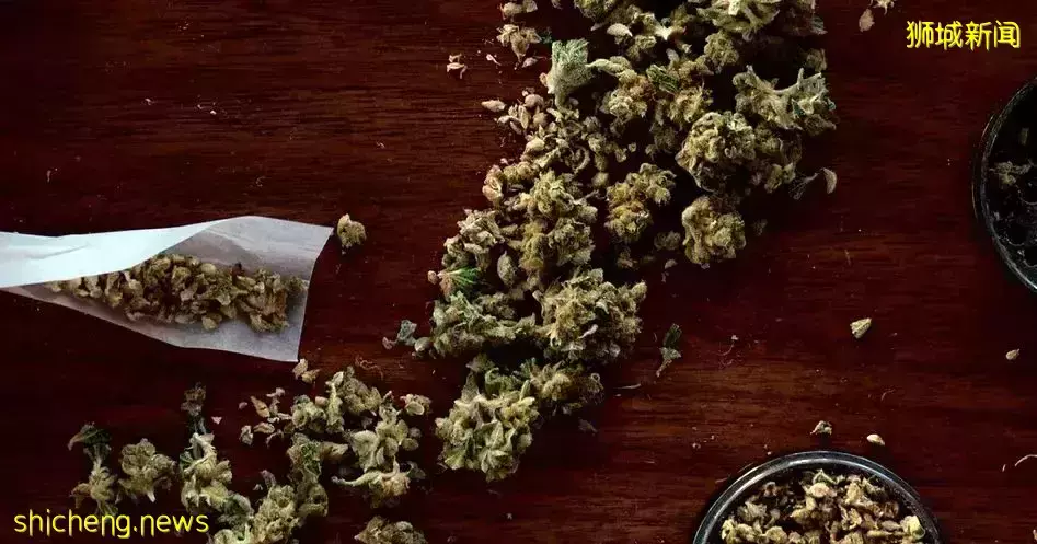 李顯龍總理：不會將毒品合法化 ！多國毒販被鞭刑、處死，求情被拒！新加坡毒販曾弑母殺女