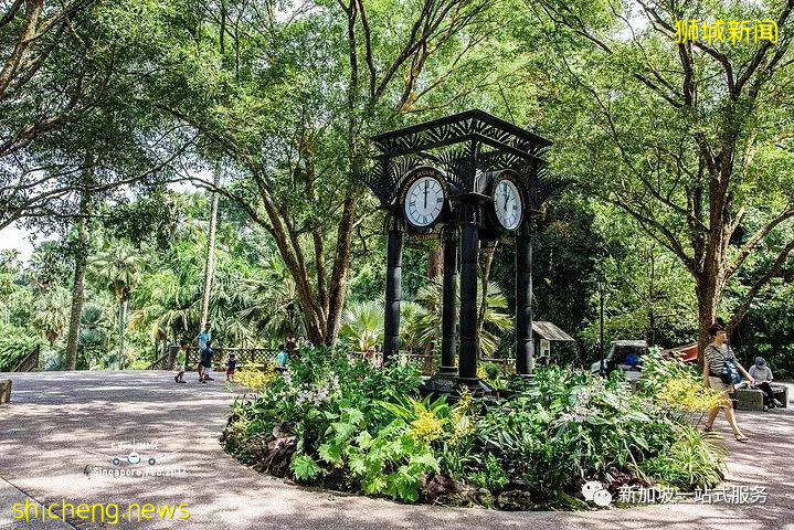 最美麗的自然風光: 新加坡植物園!