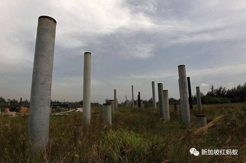 有人投诉,当局才会行动? 新加坡人追求飙车快感的欲望真能被取缔吗