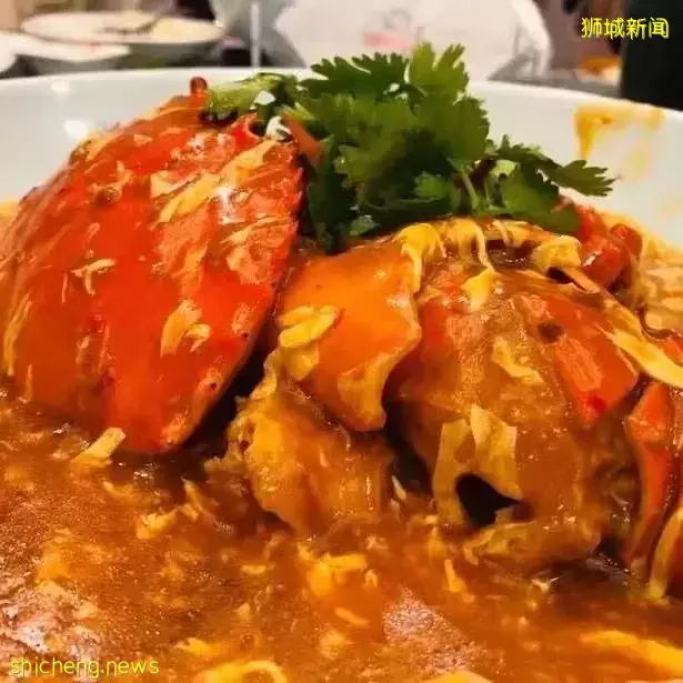 新加坡 放慢腳步，體驗獅城百態