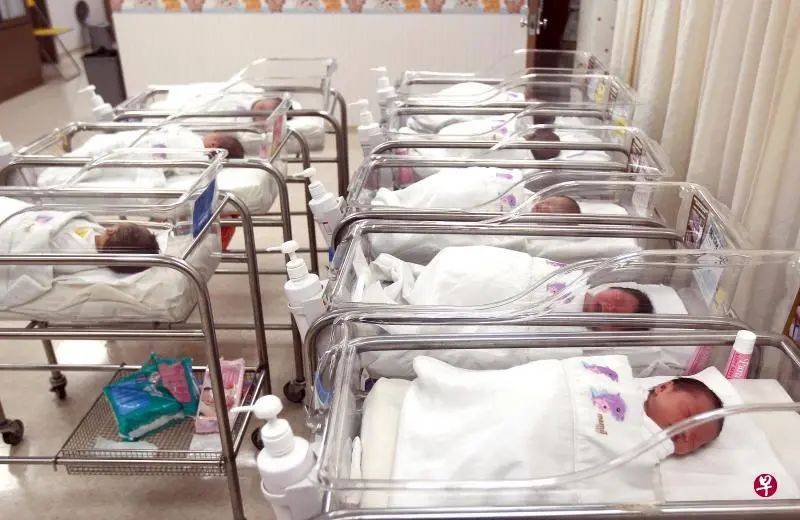 嗷嗷嗷~我剛決定不要生老二,結果新加坡又撒$20億喊生娃,生還是不生