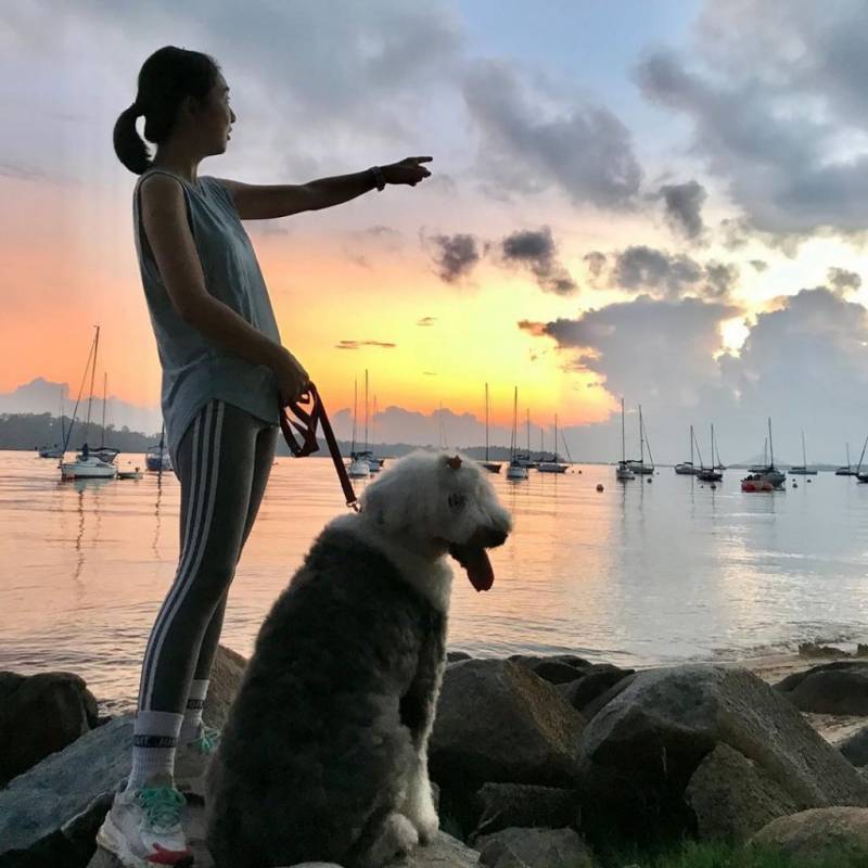 新加坡深入遊🏝 樟宜木板路 Changi Boardwalk，清淨沿海棧道、天涯海角賞日落