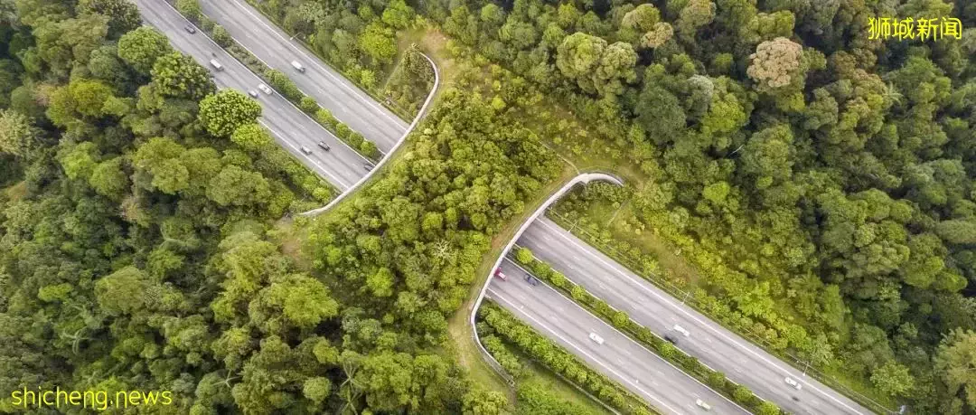 新加坡是如何让自己赏心悦目的