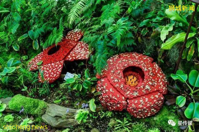 多味缤紛新加坡，旅遊攻略收藏貼