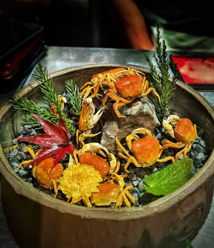 欢迎登机！新加坡航空主题日式餐厅✈️ 乘客们系好安全带，起飞开吃日料咯