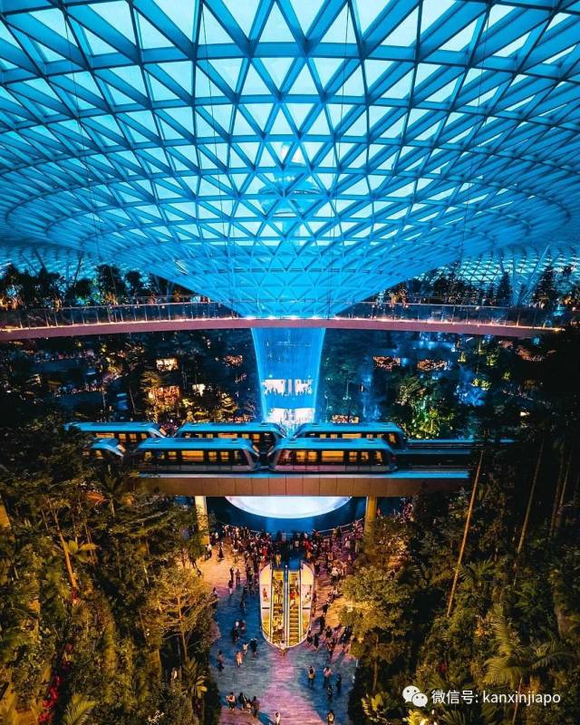 夜幕下的新加坡,有多美