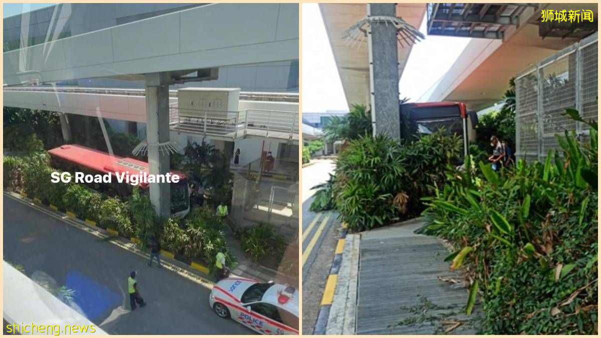 SBS Transit 巴士撞上機場輕軌柱子, 三人送往醫院