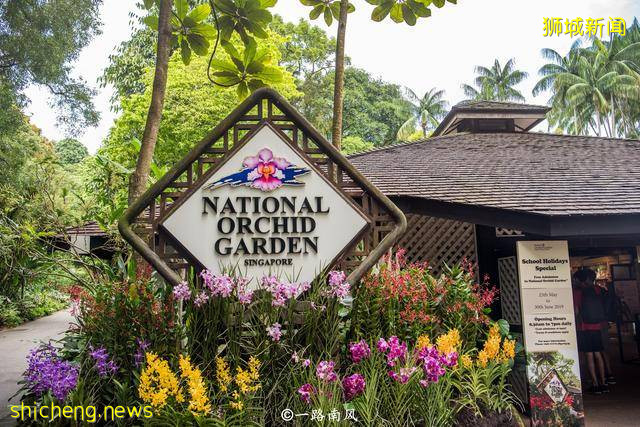 新加坡僅相當于馬來西亞的459分之一,GDP卻超過,旅遊熱度一直高!